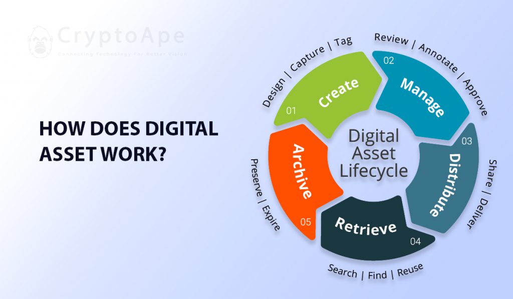 How Does Digital Asset Work?